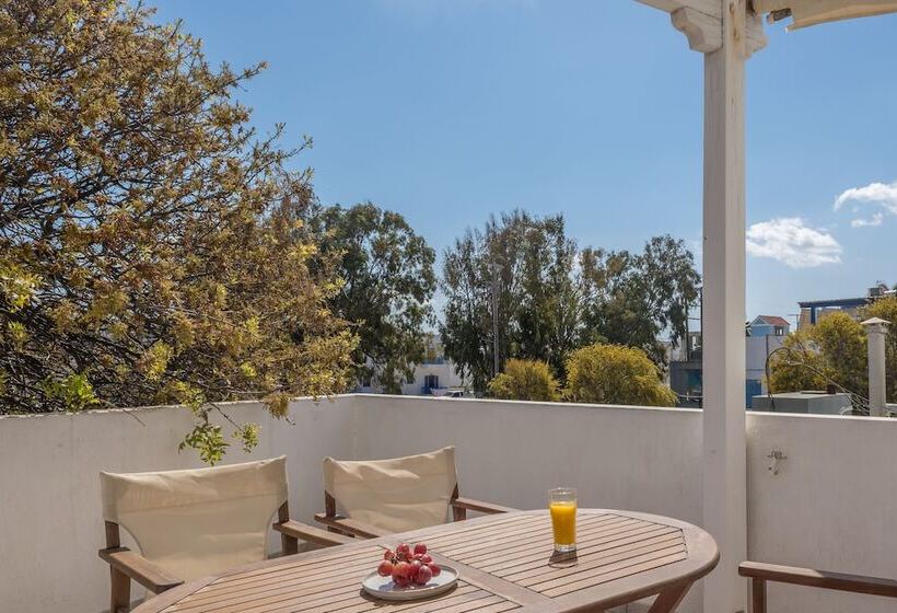 膳宿费 Olive Studios