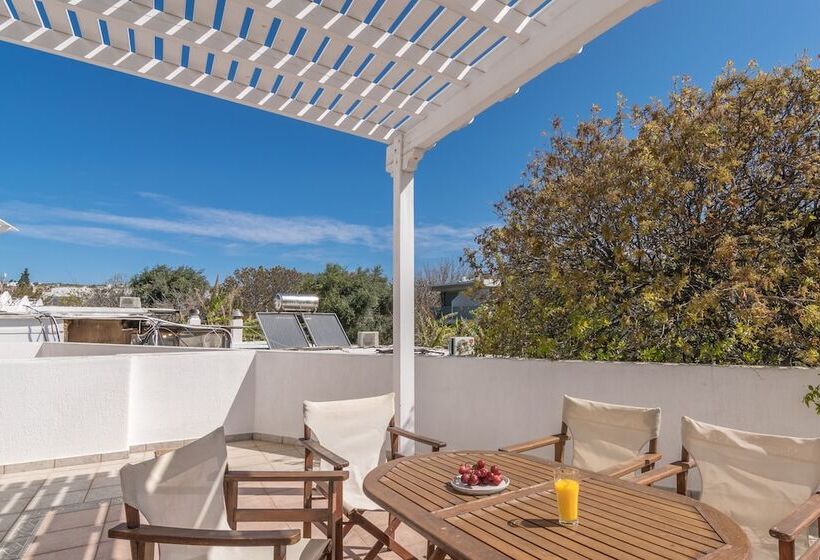 膳宿费 Olive Studios