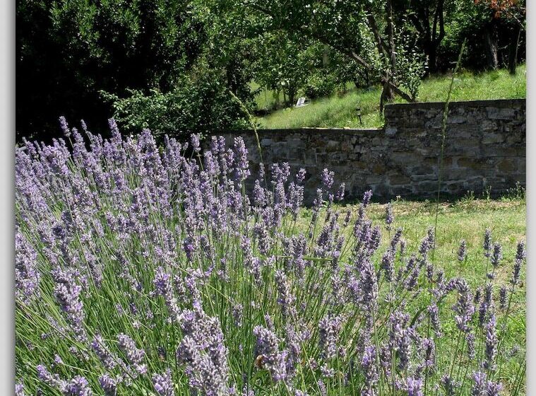 ベッドアンドブレックファースト Cascina Luvot