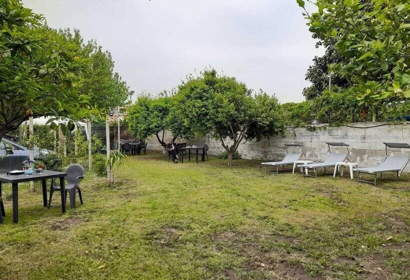 تختخواب و صبحانه City Pompei Accommodations
