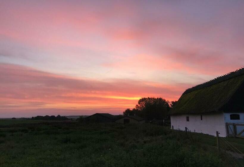 민박 Strågården Nyord