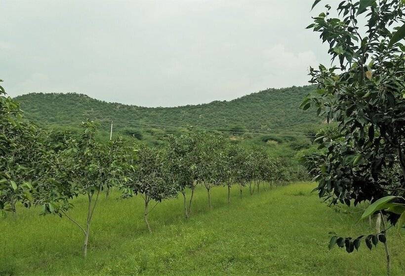 Chitrakoot Garden And Resorts Pushkar