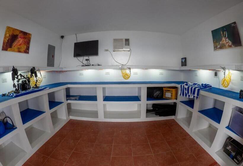 בית מלון כפרי Blue Ribbon Dive Resort