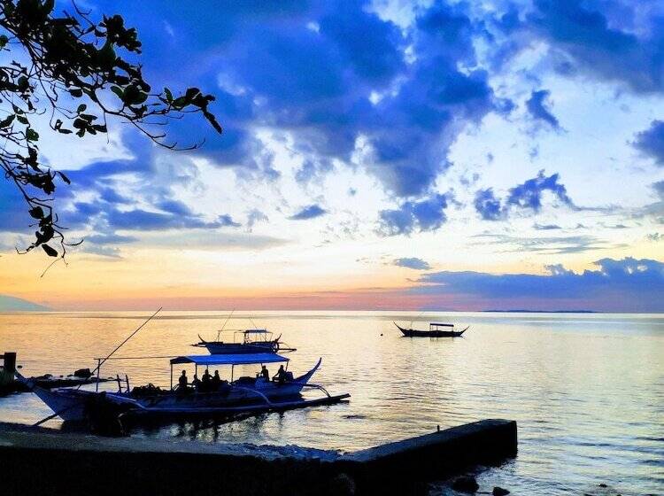 בית מלון כפרי Blue Ribbon Dive Resort