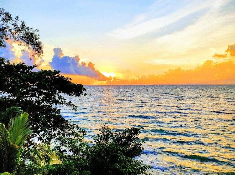 בית מלון כפרי Blue Ribbon Dive Resort