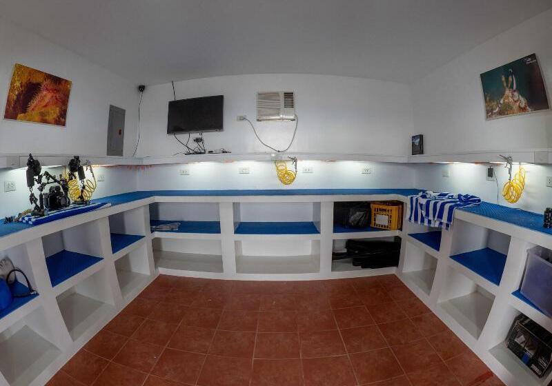 Отель Blue Ribbon Dive Resort