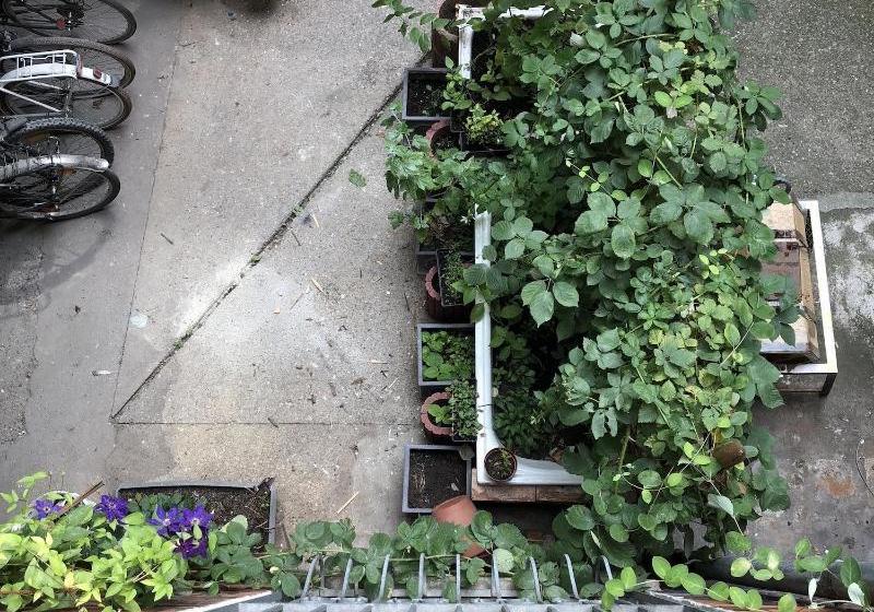 בית מלון כפרי Downtown City Privaterooms