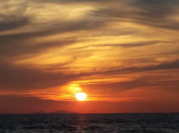 בית מלון כפרי George