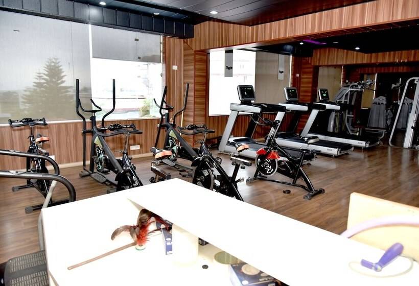 בית מלון כפרי Padmini Palace