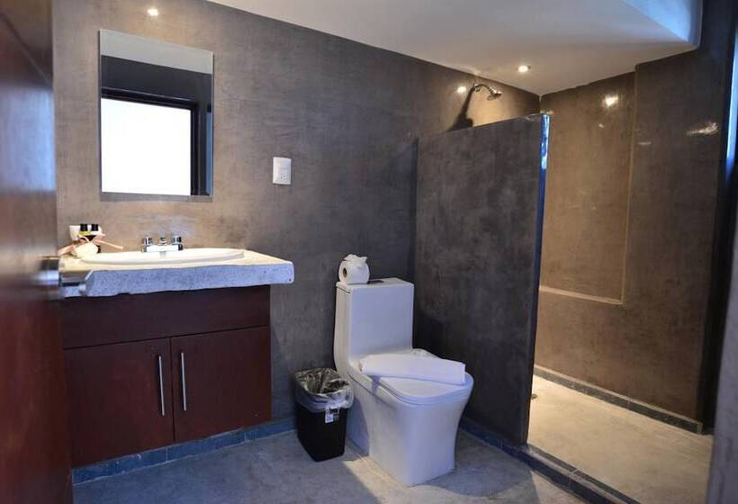 Отель Rio Lagartos