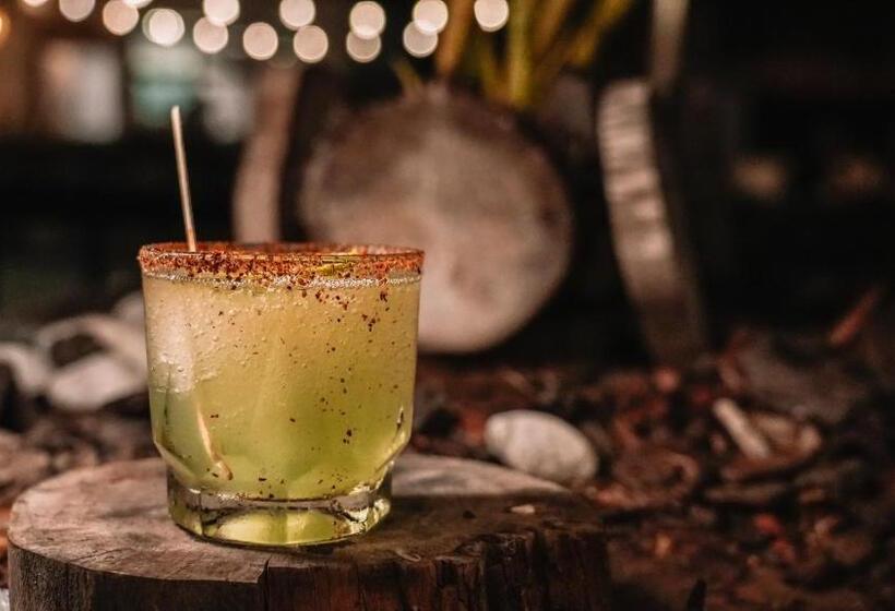 Отель Rio Lagartos