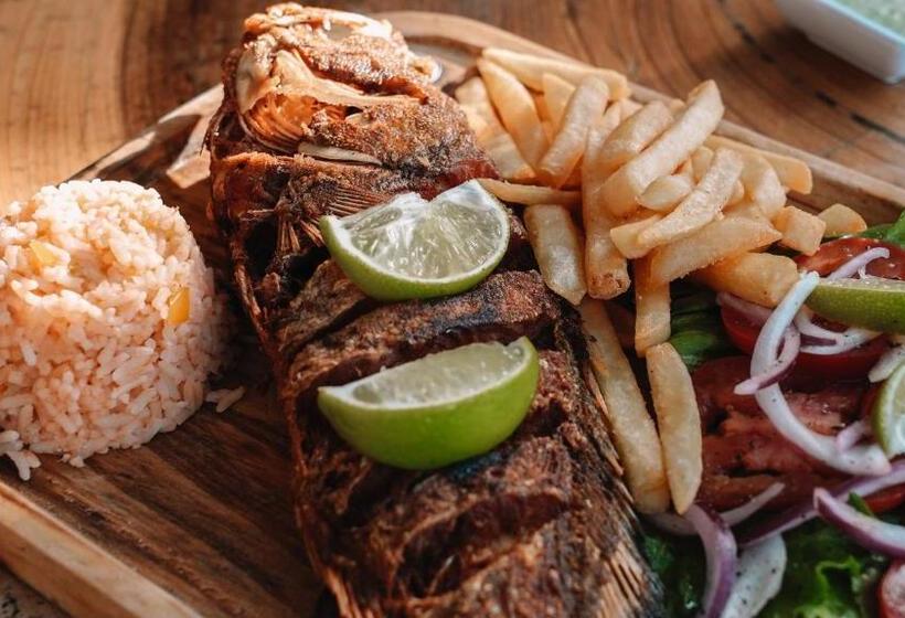 Отель Rio Lagartos