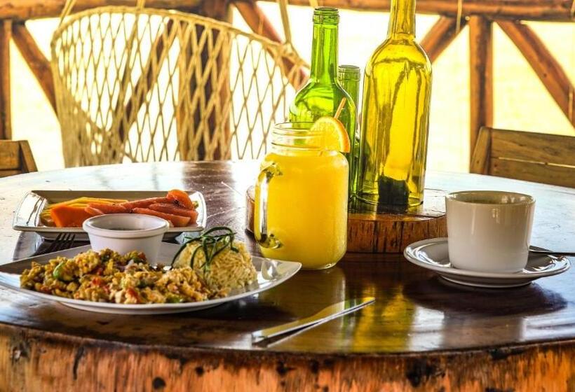 Отель Rio Lagartos