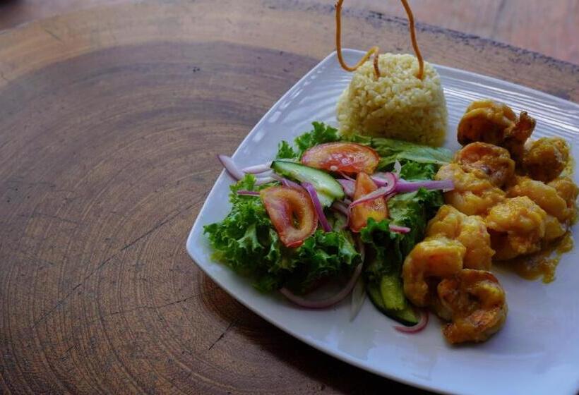 Отель Rio Lagartos