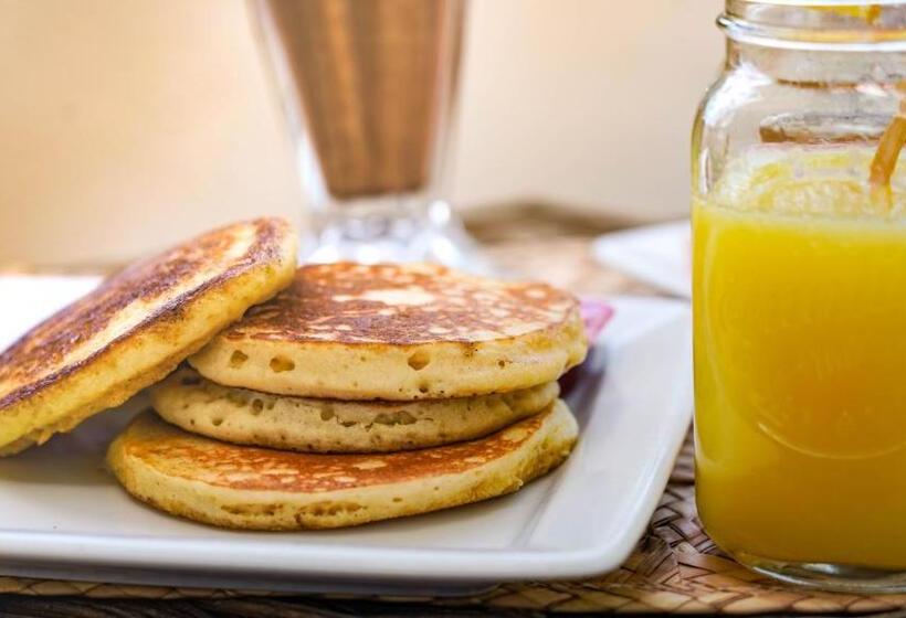 Отель Rio Lagartos