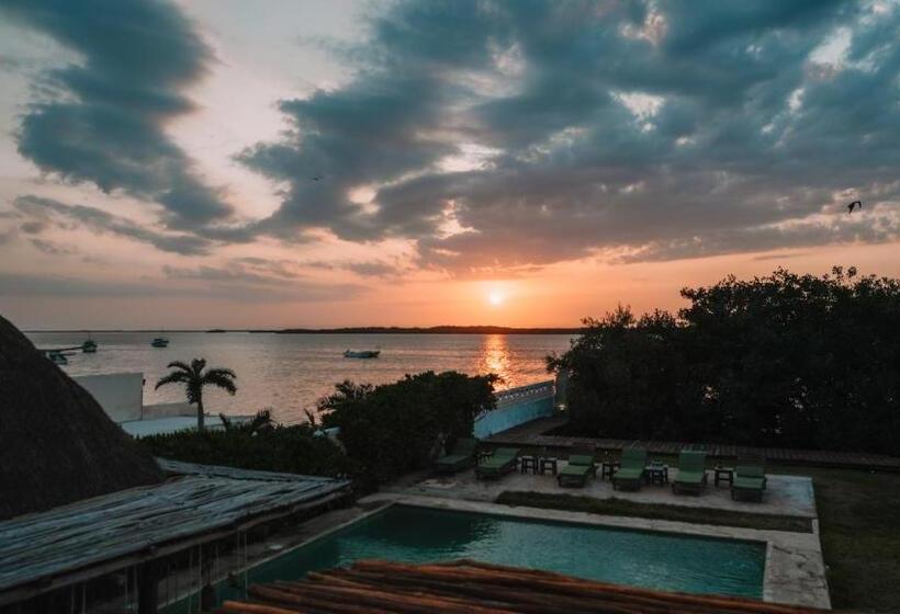 Отель Rio Lagartos