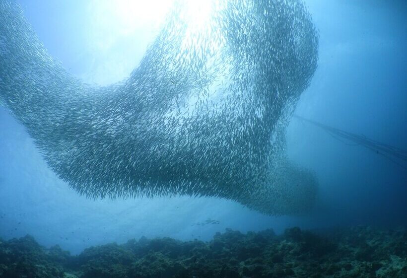 هتل Blue Abyss Resort