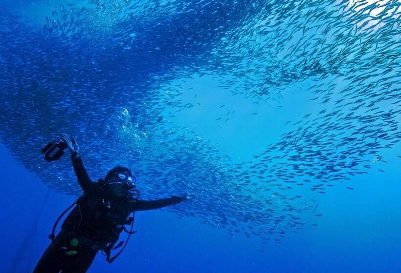 هتل Blue Abyss Resort