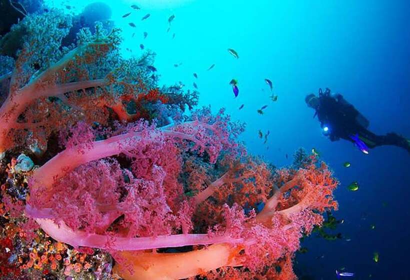 هتل Blue Abyss Resort