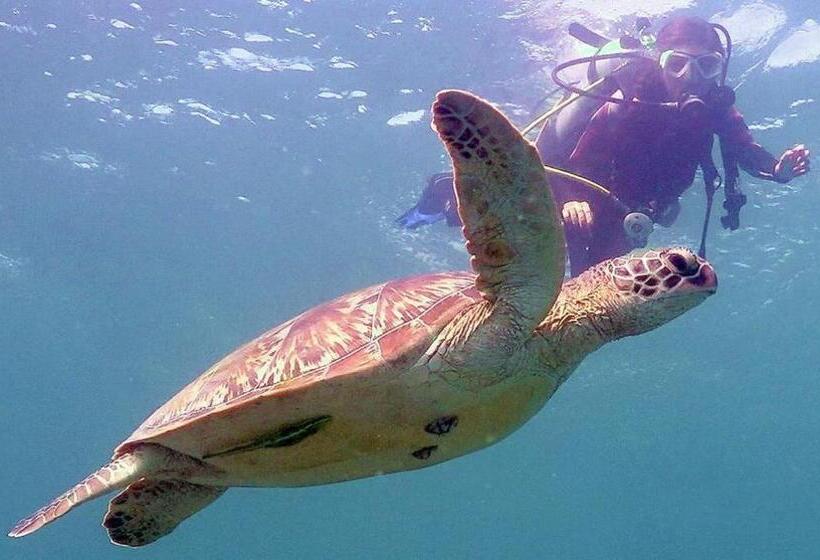 هتل Blue Abyss Resort