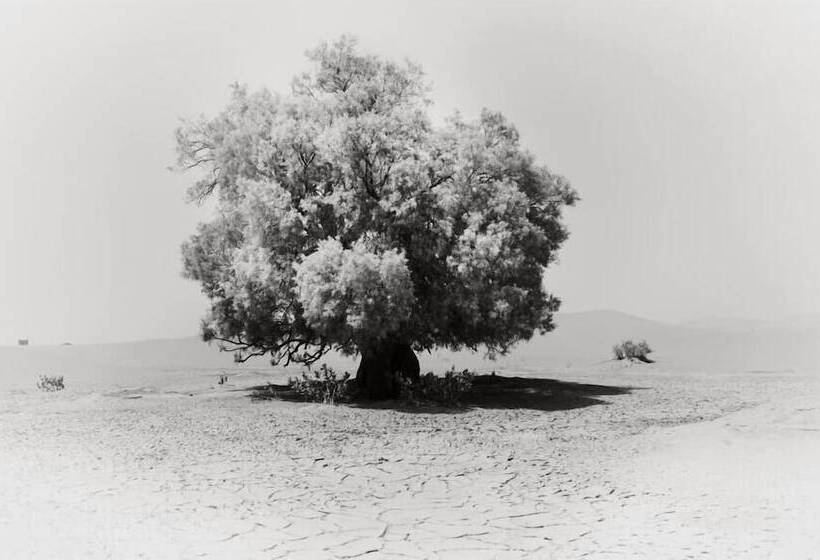 Khamlia Desert Bed & Breakfast