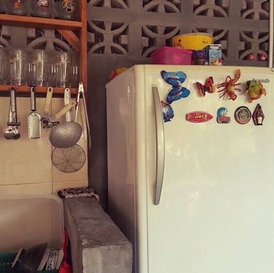 Mingle In Baler   Hostel