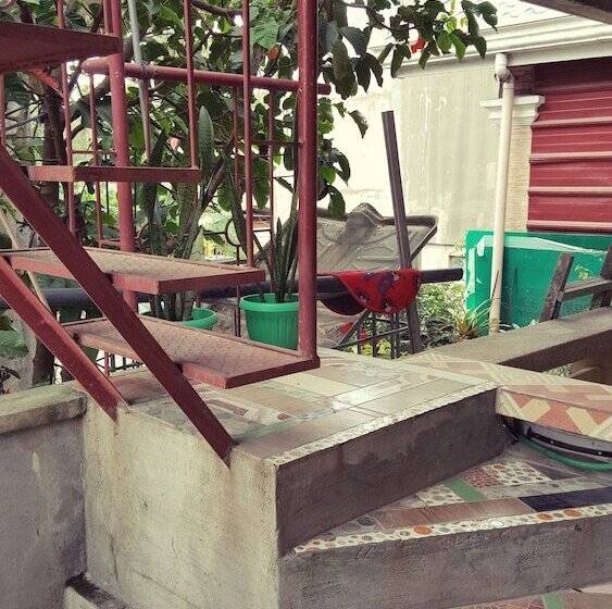 Mingle In Baler   Hostel