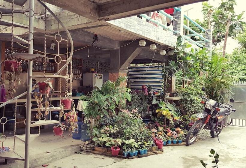 Mingle In Baler   Hostel