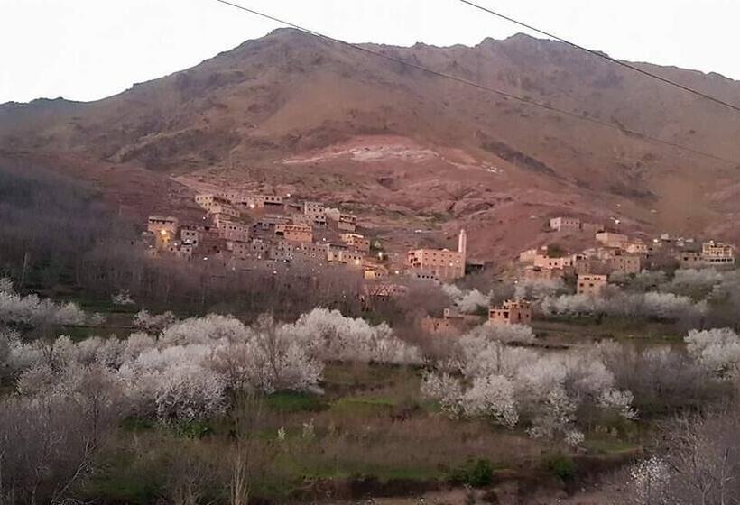 بنسيون Atlas Imoula