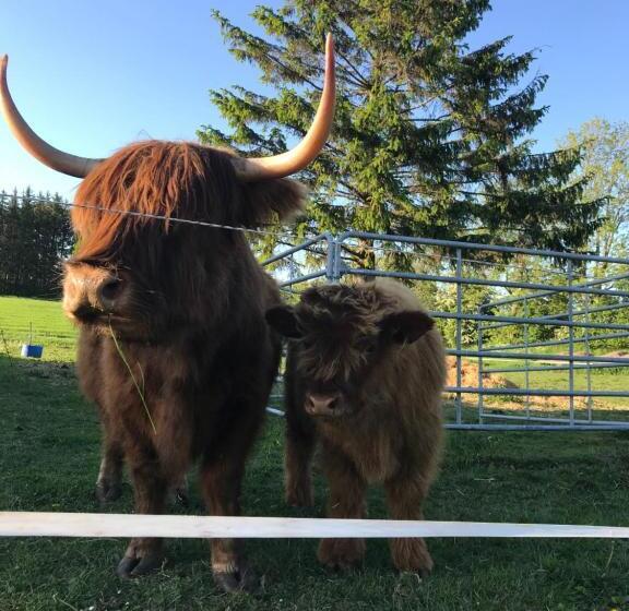 Пансион Bremsmaj Farm Holiday