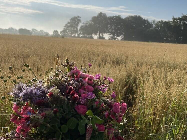 פנסיון Bremsmaj Farm Holiday