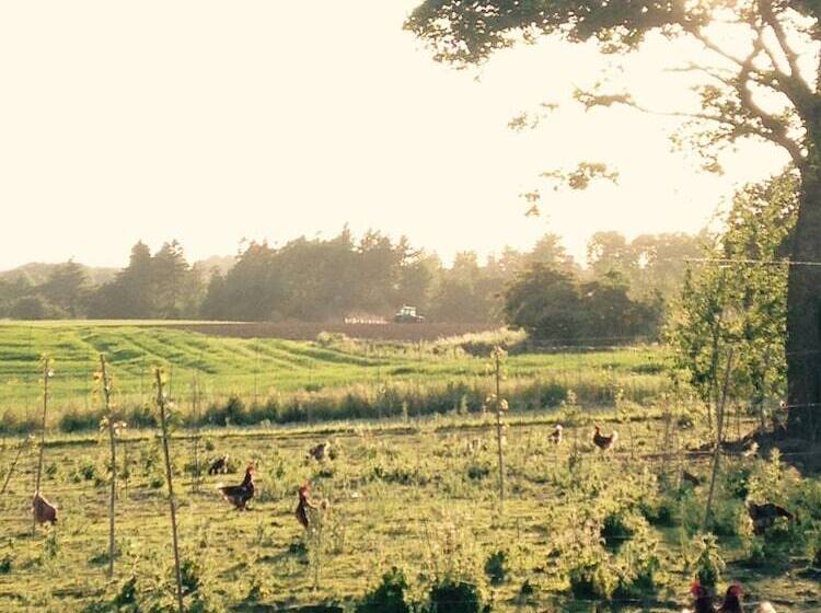 פנסיון Bremsmaj Farm Holiday
