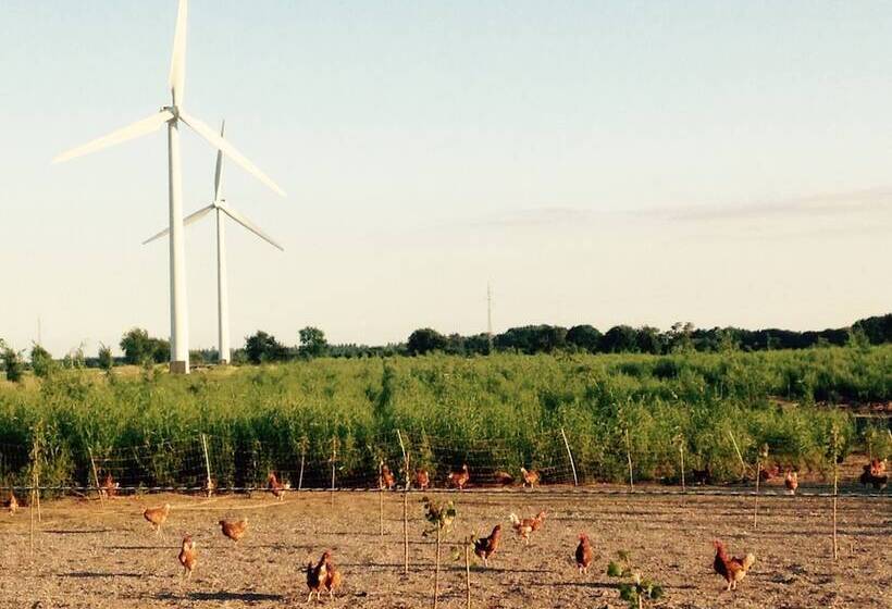 פנסיון Bremsmaj Farm Holiday