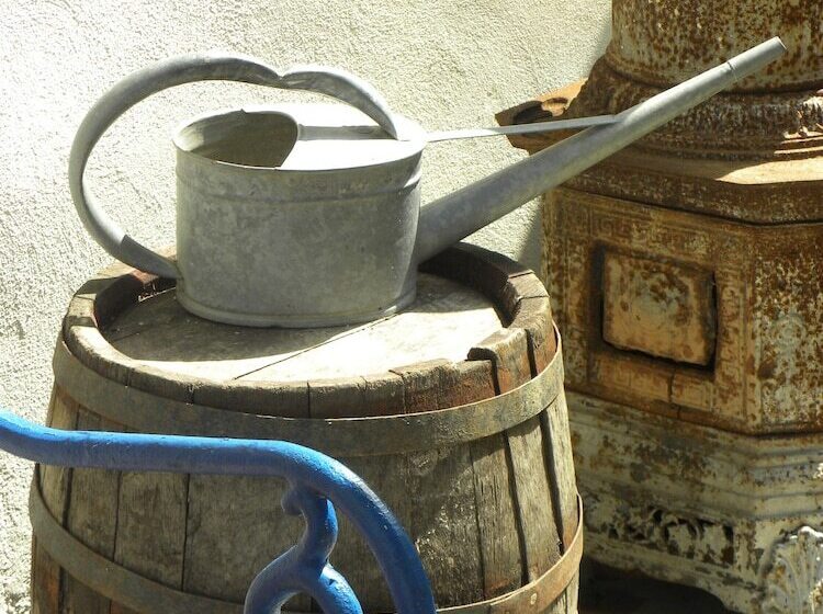 פנסיון Casa Bertha