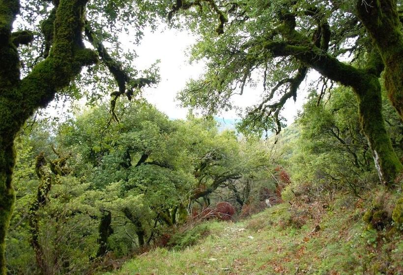Пансион Oreini Nafpaktia Houses