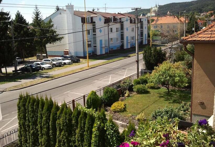 펜션 Penzion Bojnice