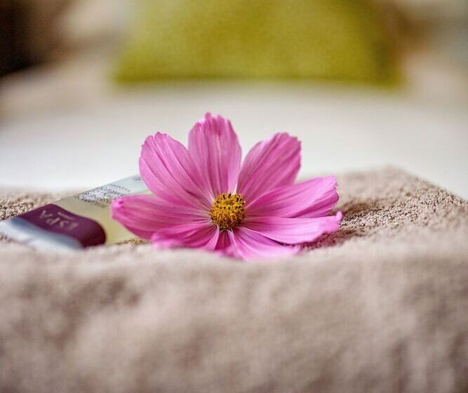 פנסיון Taim Lodge