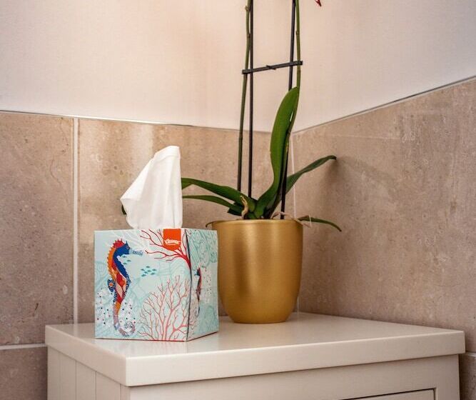 פנסיון Taim Lodge