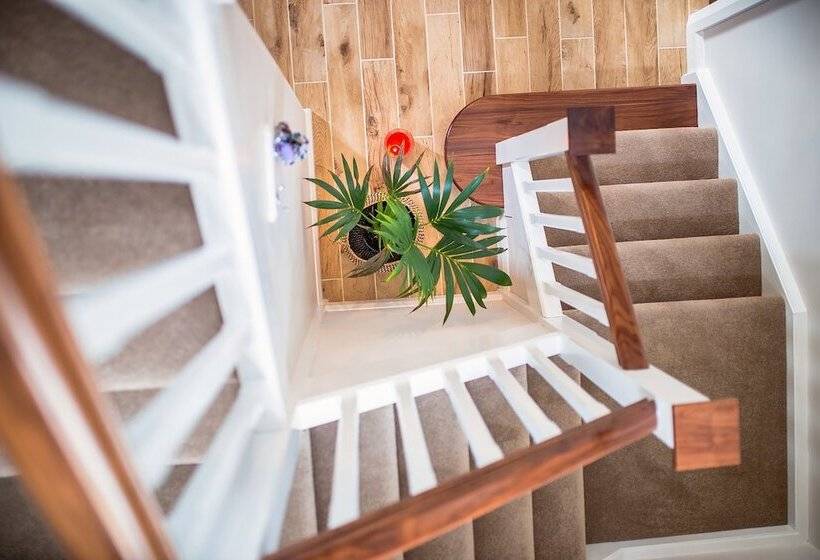 פנסיון Taim Lodge