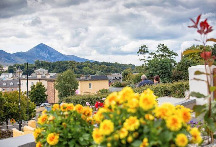 פנסיון Taim Lodge