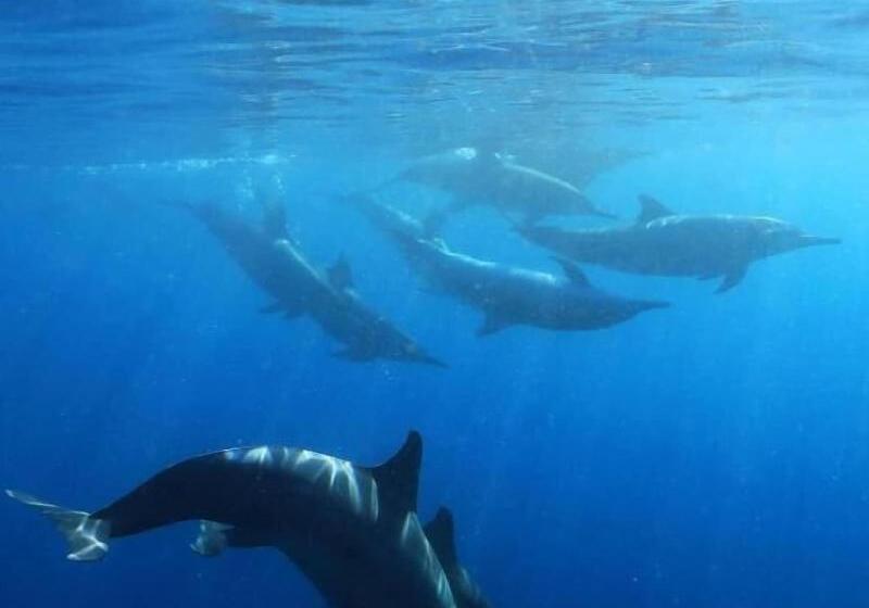 پانسیون Taklam Lodge