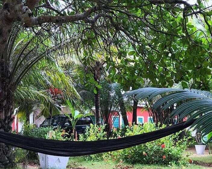 بنسيون Twitter Paradise Guest House