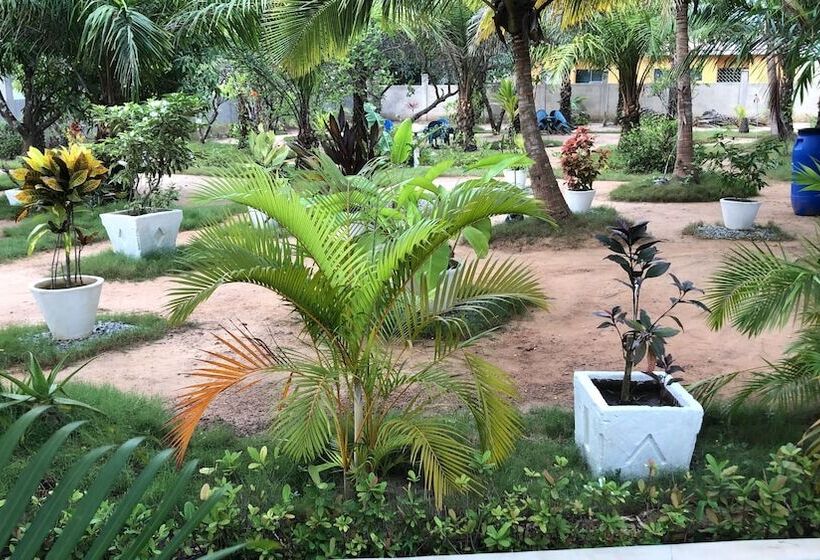 بنسيون Twitter Paradise Guest House