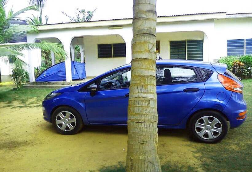 بنسيون Twitter Paradise Guest House