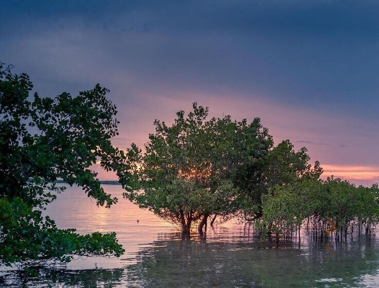 膳宿费 Ulani Lodge