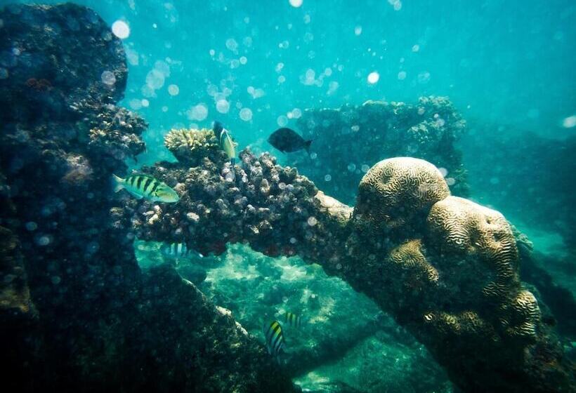 膳宿费 Ulani Lodge