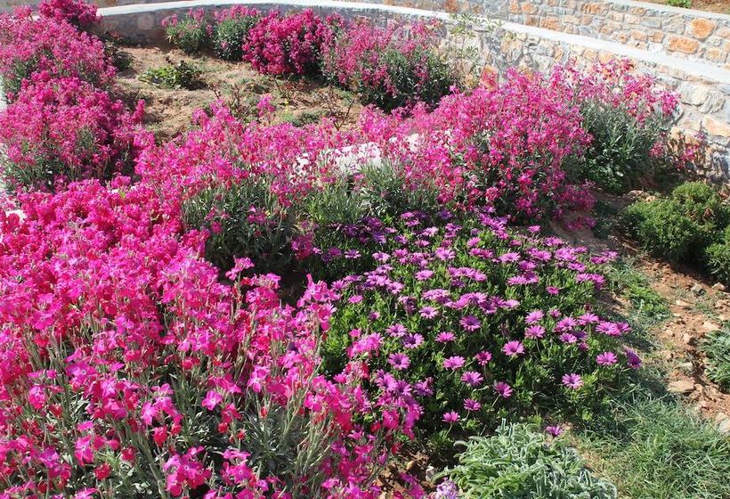 פנסיון Villa Meltemi