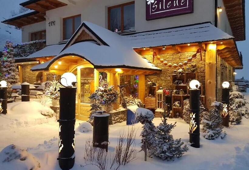 膳宿费 Willa Silene   Góralska Muzyka Na żywo, Blisko Termy I Wyciągów