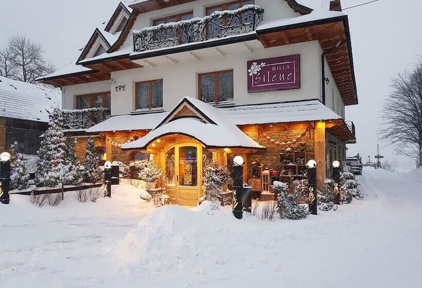 پانسیون Willa Silene   Góralska Muzyka Na żywo, Blisko Termy I Wyciągów