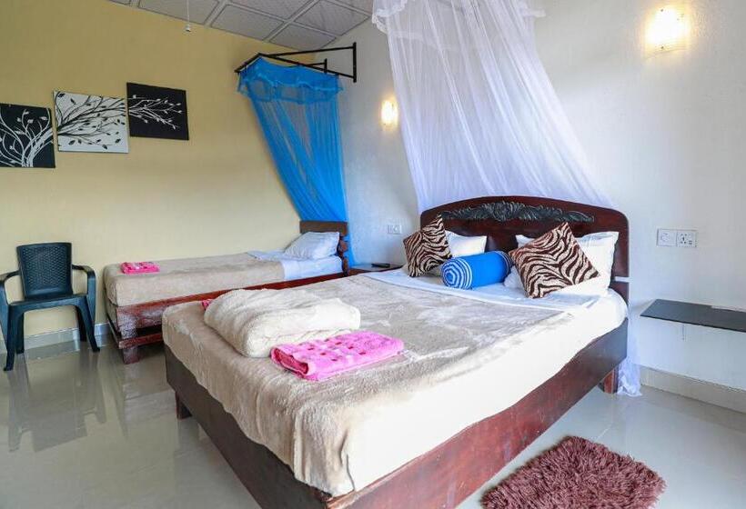 Pensión Zircon Ella